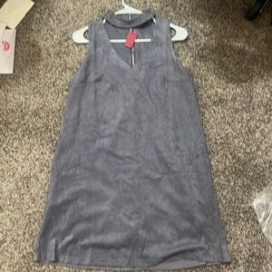 NWT Suede Dress
